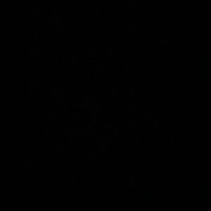 Meet your Posher, Bella